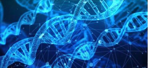 DNA_480x480 (1).jpg