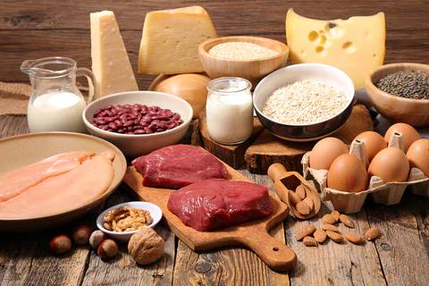 Introduction-to-Protein_f793c0ff-8dc1-4090-a0fe-b60ff74789c9_480x480.jpg